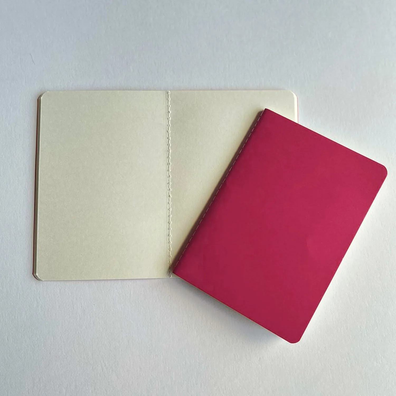 Set 2 libretas Sketch & Note Hahnemühle 11x15cm A6 Magenta gris