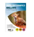 Papel Fotográfico Adetec Brillante A4 180grs 20 hjs