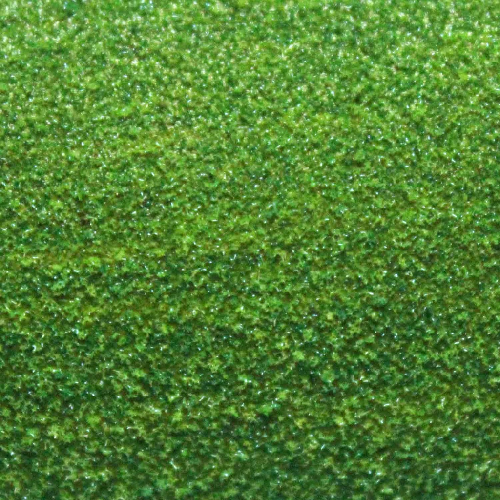 Pasto verde claro Rollo 1:200 125x85cm