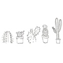 Timbre Adix Diseño Cactus Party 5ud