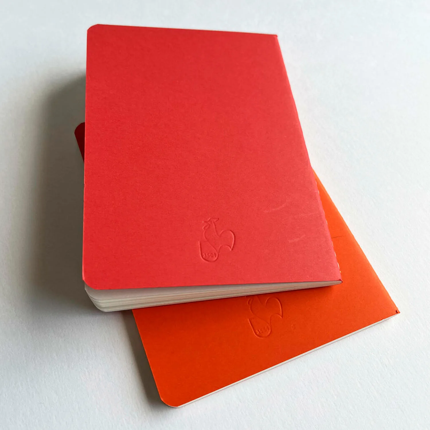 Set 2 libretas Sketch & Note Hahnemühle A4 (29.7X21cm)