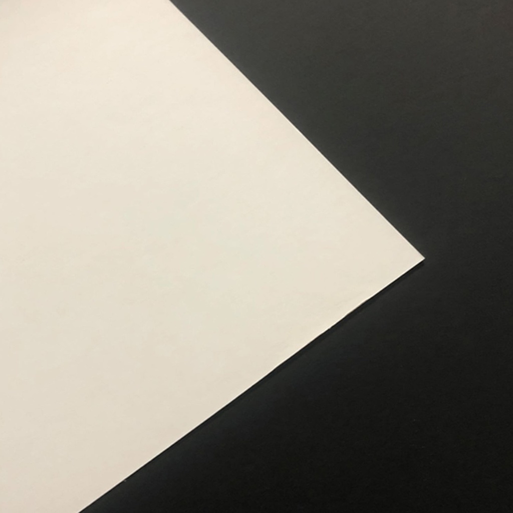 Cartón Contraplacado Blanco Couche Doble 110x77cm 650gr