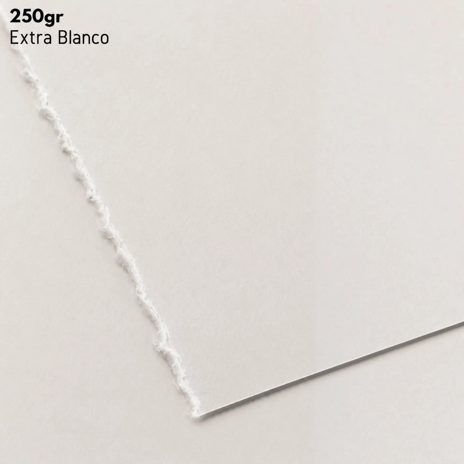 Papel Canson Edition 100% Algodón 250gr  112x76cm