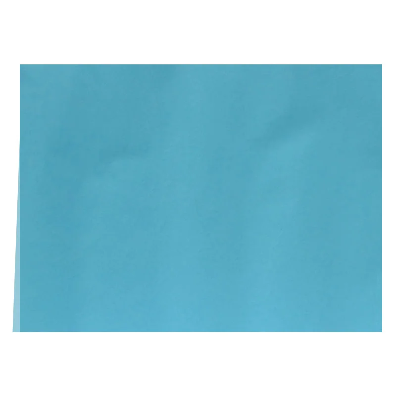 [#CC9-27] Cartulina Colores Surtidos 140gr 73x53cm (Café)