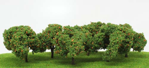 Arboles de Naranjos 2 a 2.5pulgadas (6ud)