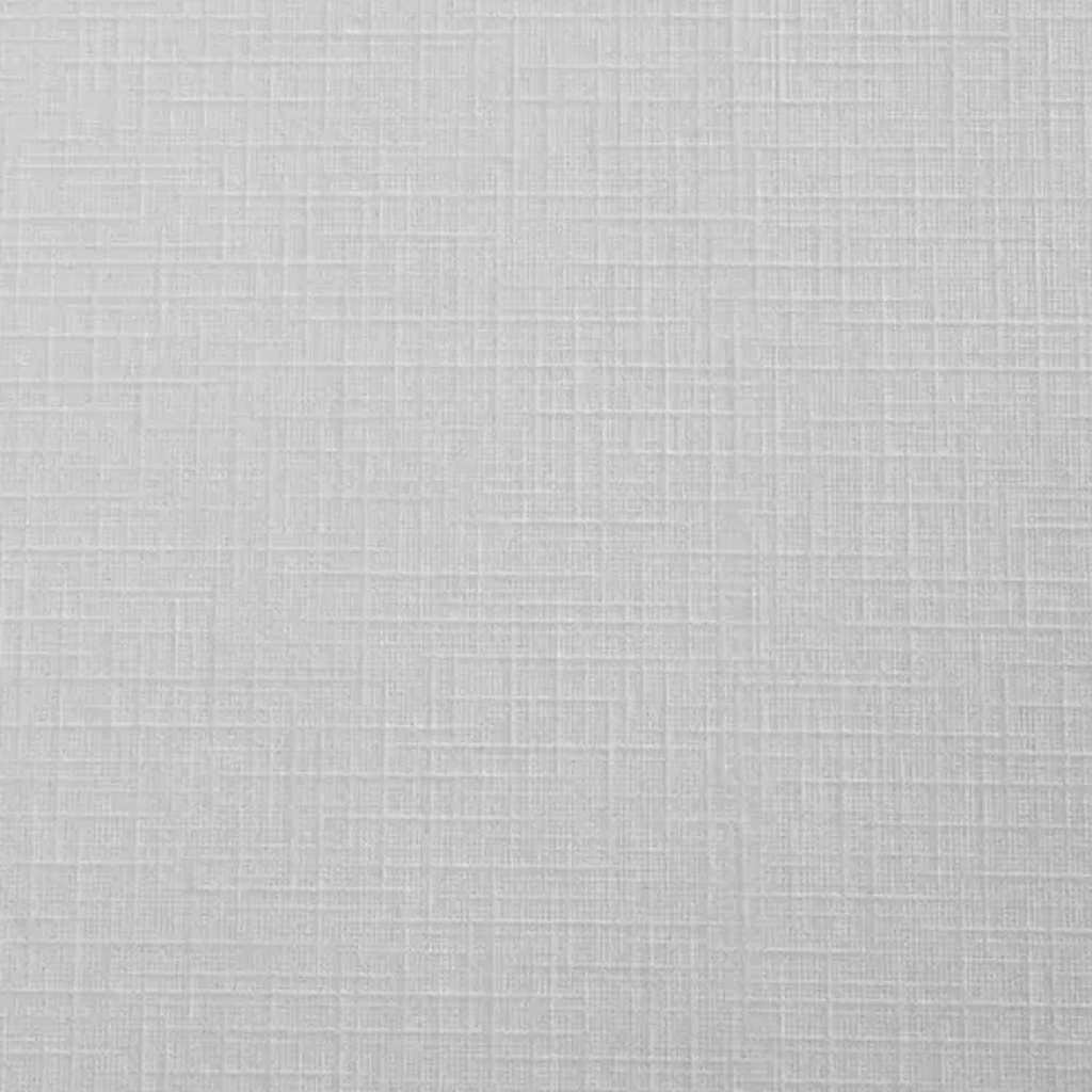 Papel Opalina telada 200gr  pliego(110x 77cm)