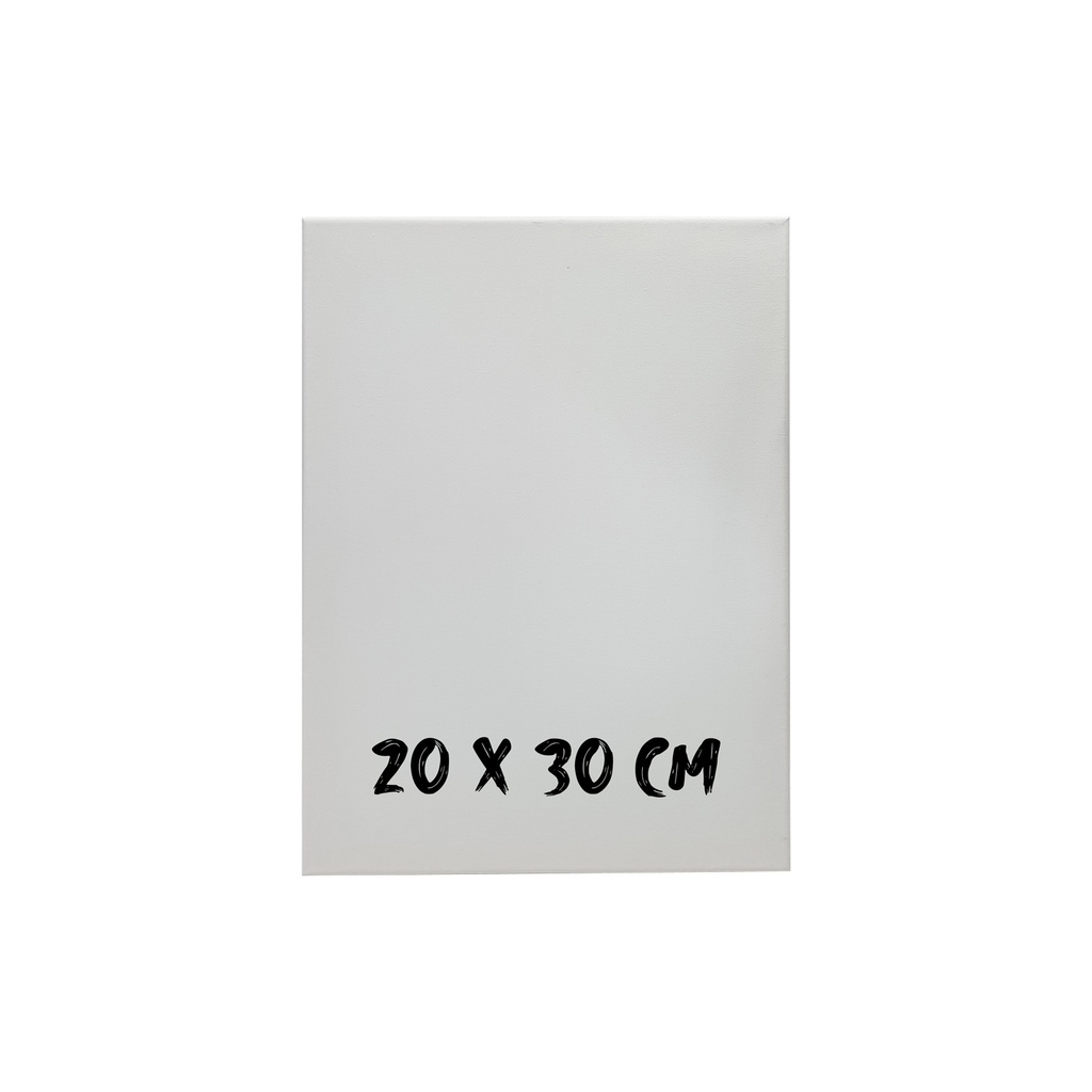 Lienzo Blanco 20 x 30 cm