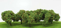 [92121] Arboles de Naranjos 2 a 2.5pulgadas (6ud)