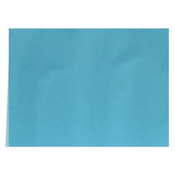 Cartulina Colores Surtidos 140gr 73x53cm